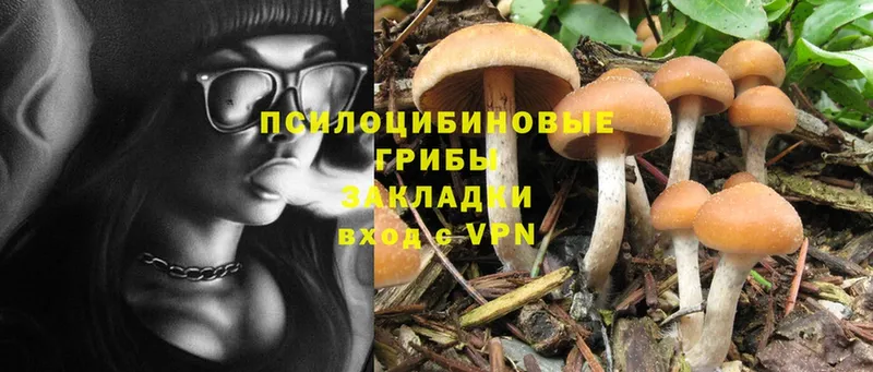 Галлюциногенные грибы Magic Shrooms  купить  цена  Покров 